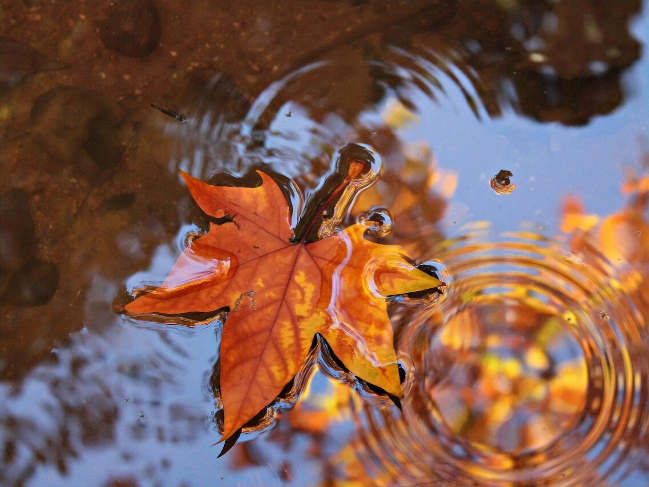 Циклон, який приніс в Україну дощову погоду, почне покидати територію країни