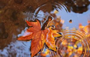 Циклон, який приніс в Україну дощову погоду, почне покидати територію країни