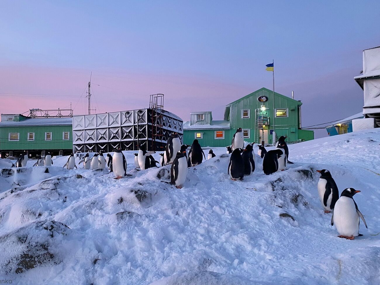 Экспедиции на станцию "Академик Вернадский"&nbsp;не обходятся без бывших военных или добровольцев, отметили в НАНЦ