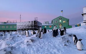 Экспедиции на станцию "Академик Вернадский" не обходятся без бывших военных или добровольцев, отметили в НАНЦ