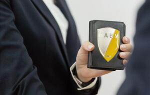 НАБУ расследовало две коррупционные схемы в порту Южный, в них были задействованы 10 человек