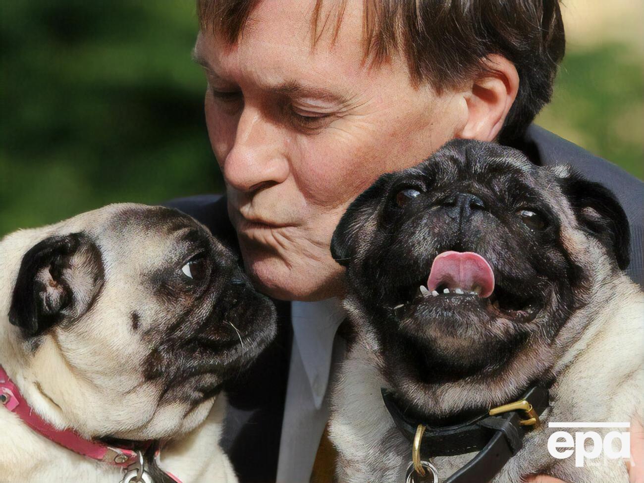 Амесс стал депутатом парламента от города Базилдон в 1983 году