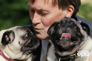 Амесс став депутатом парламенту від міста Базілдон 1983 року