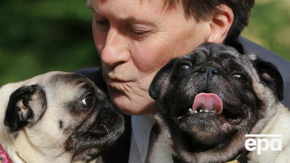 Амесс стал депутатом парламента от города Базилдон в 1983 году