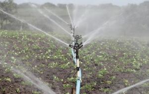 Прем'єр оголосив суму дотацій на програму зрошення