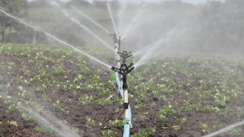 Прем'єр оголосив суму дотацій на програму зрошення