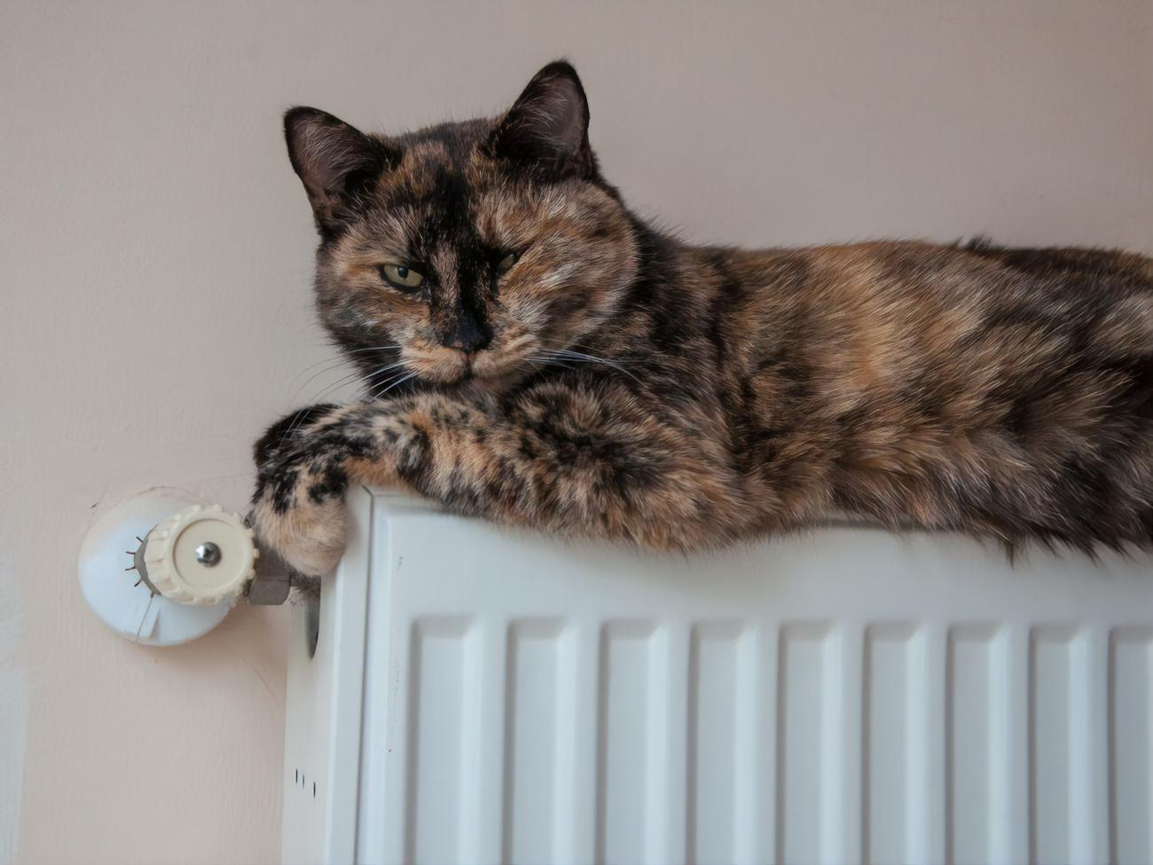 В Киеве на следующей неделе начнут включать отопление