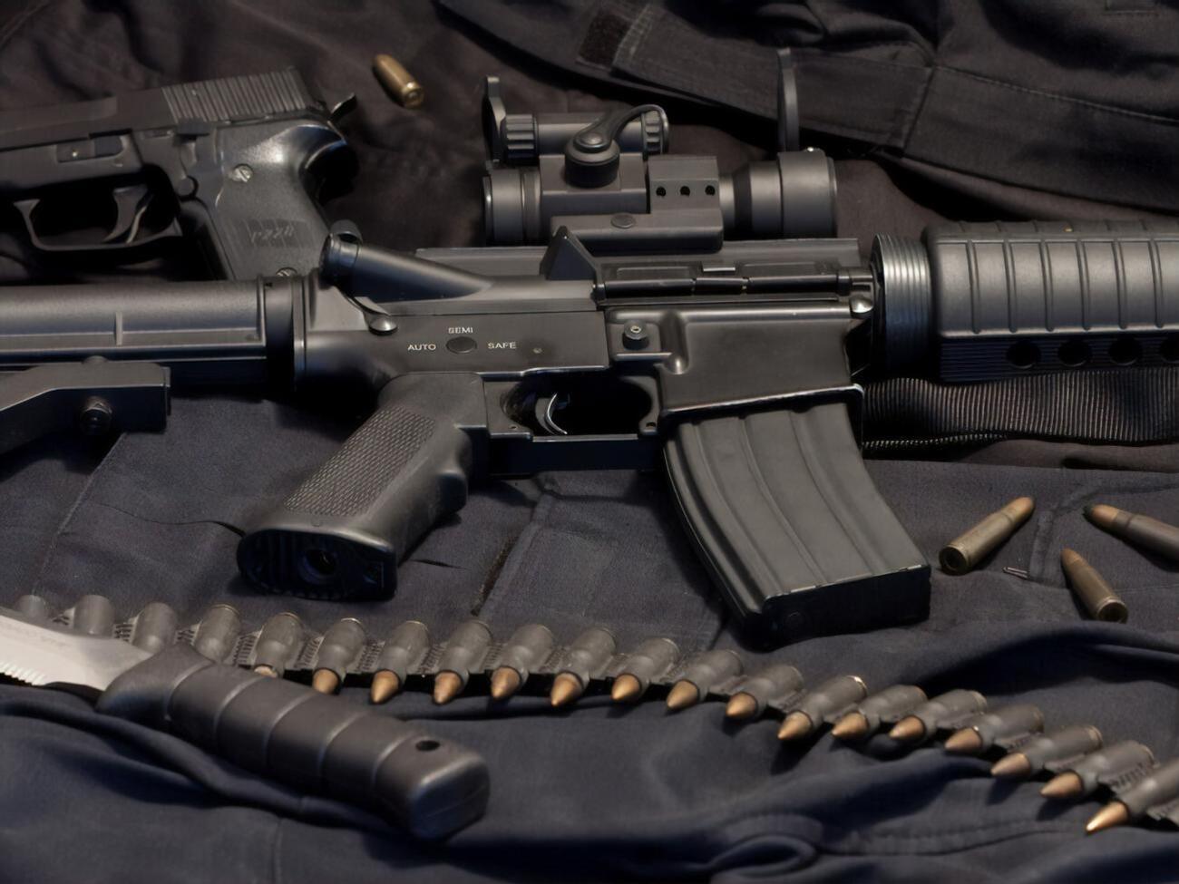 У Верховній Раді в листопаді 2020 року було зареєстровано два законопроєкти про обіг зброї
