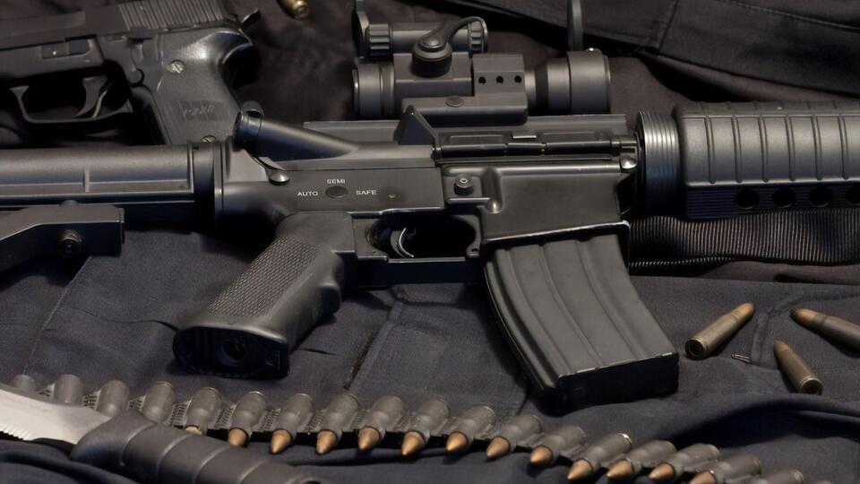 У Верховній Раді в листопаді 2020 року було зареєстровано два законопроєкти про обіг зброї