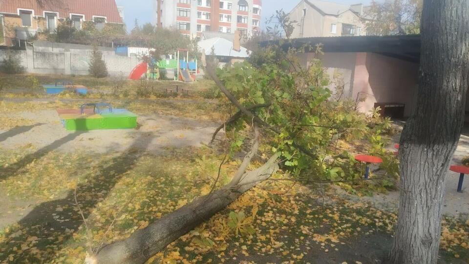 Инцидент произошел в детском саду №19 Кременчуга