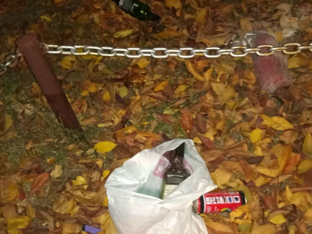 Мужчина бросил "коктейль Молотова" во двор замглавы ОП, утверждают в полиции