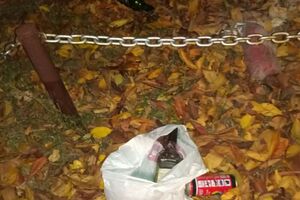 Мужчина бросил "коктейль Молотова" во двор замглавы ОП, утверждают в полиции