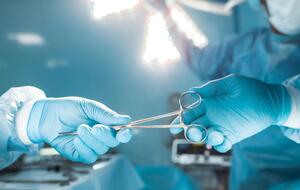 Пересаджування нирки свині людині проводили в межах експерименту