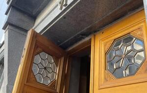 На Устинову упал засов от двери на входе в Раду