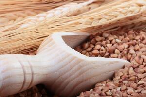 Сбор гречки завершили в 15 украинских областях