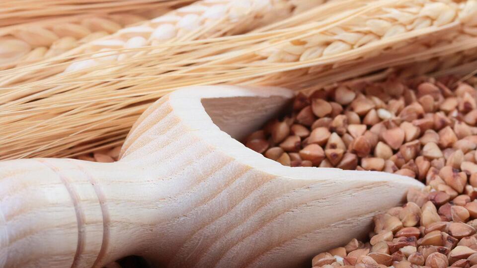 Збирання гречки завершили у 15 українських областях