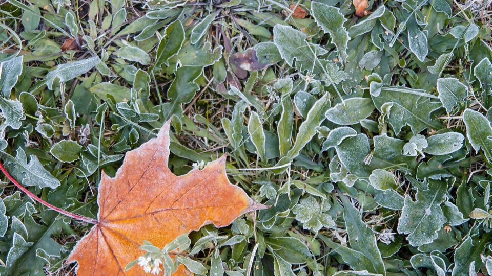 24–26 октября в Украине значительно похолодает, сообщили в Укргидрометцентре