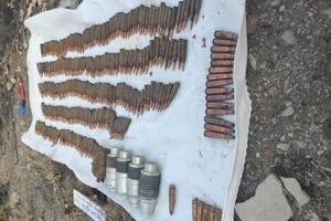 Правоохоронці виявили у схованці 386 набоїв до стрілецької зброї