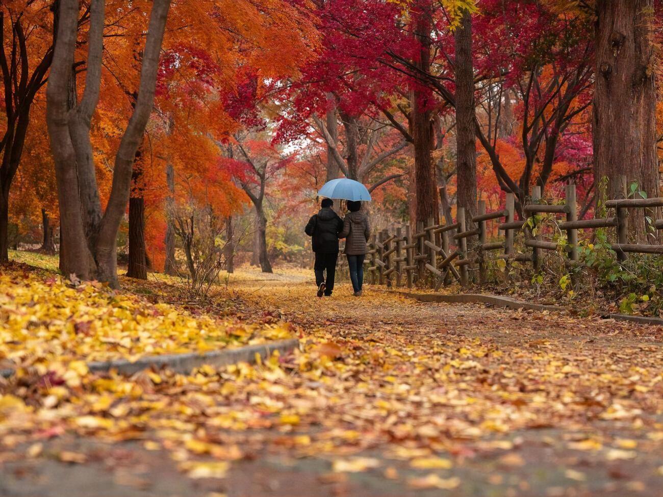 Минимальная температура в сентябре в Киеве не опускалась ниже +12 &deg;С