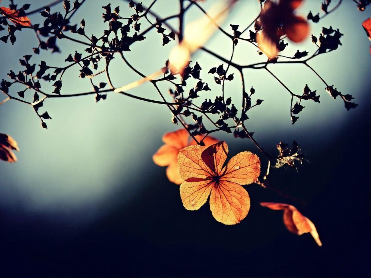 Самые короткие безморозные периоды в Киеве были зафиксированы в 1902-м и 1945 году