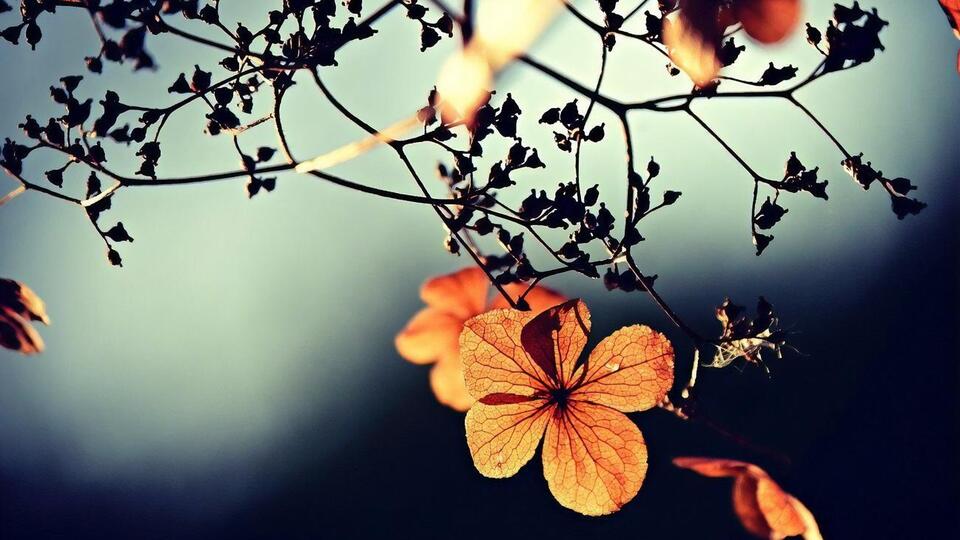 Самые короткие безморозные периоды в Киеве были зафиксированы в 1902-м и 1945 году