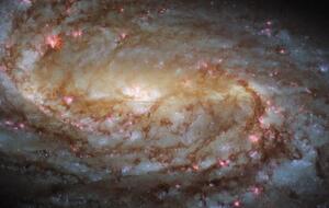 Відкривачем спіральної галактики є британський астроном німецького походження Фрідріх Вільгельм Гершель