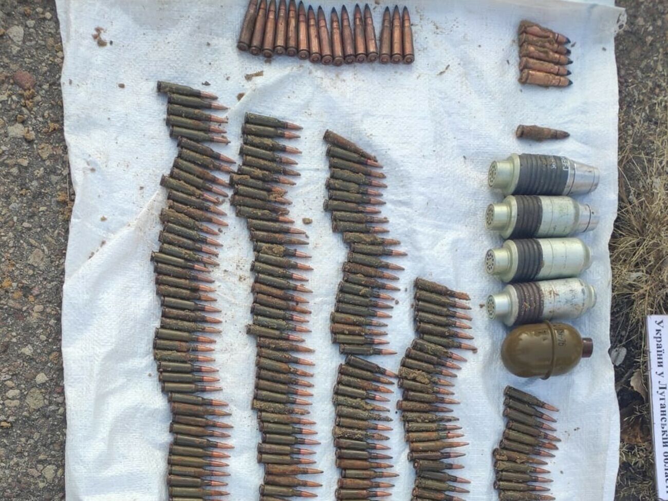 Правоохранители изъяли почти 400 патронов разного калибра