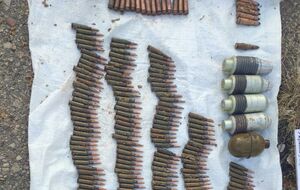 Правоохранители изъяли почти 400 патронов разного калибра