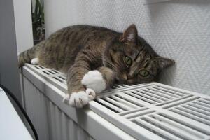 Сейчас с теплом около 70% жилых домов в Украине