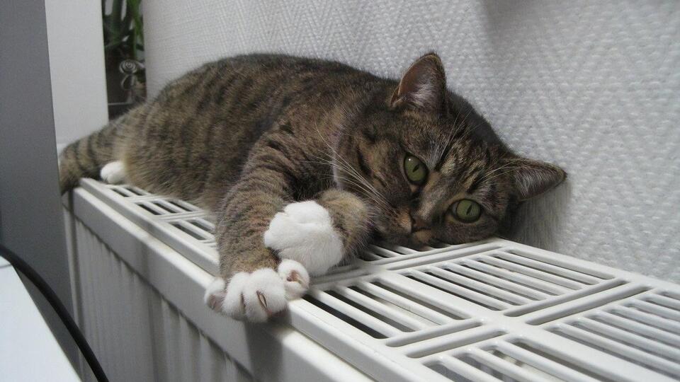 Сейчас с теплом около 70% жилых домов в Украине