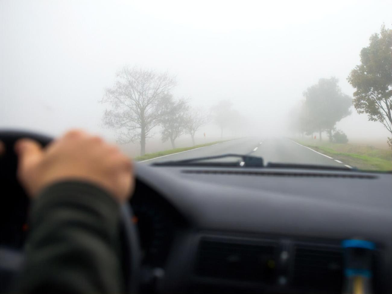 29 жовтня у західних, північних та центральних областях України прогнозують туман