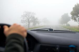 29 октября в западных, северных и центральных областях Украины прогнозируют туман