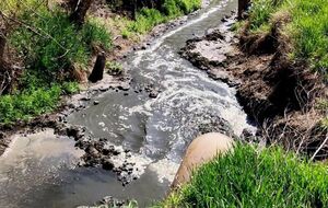 Згідно з результатами проведеної експертизи, показники вмісту нітратів у ґрунті перевищено у 13 разів