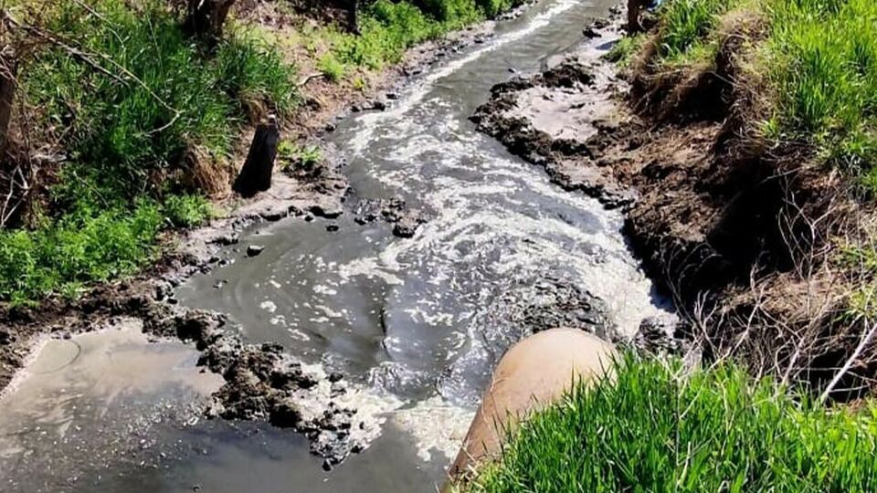 Згідно з результатами проведеної експертизи, показники вмісту нітратів у ґрунті перевищено у 13 разів