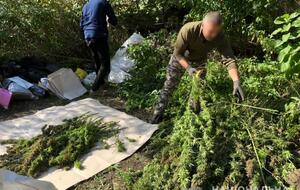 В полиции сообщили, что организовал преступную группу 58-летний сумчанин