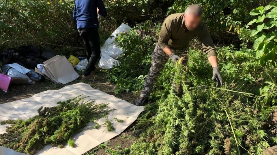 У поліції повідомили, що організував злочинну групу 58-річний сумчанин
