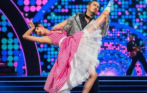 Фагот выступал в паре с Тришиной