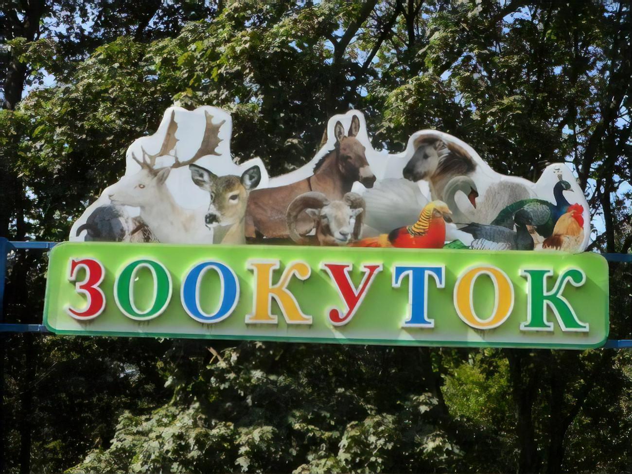 В зооуголке наблюдают за здоровьем животных