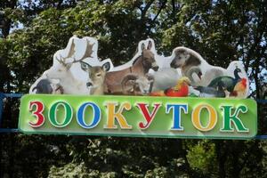 В зооуголке наблюдают за здоровьем животных