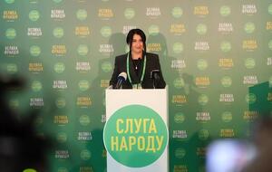 Палийчук озвучила позицию партии по вопросу сегодняшней повестки Рады