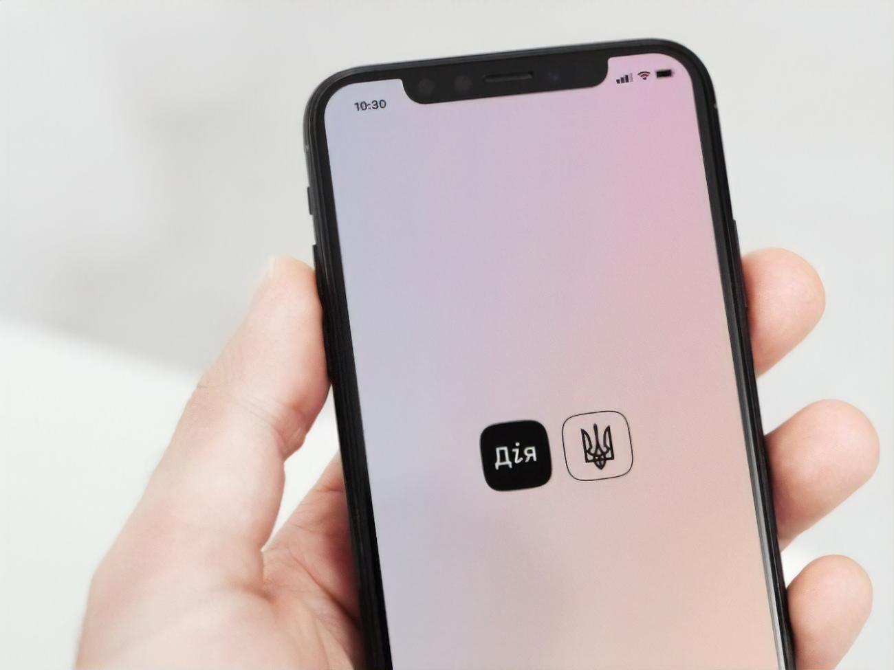 Ідентифікацію можна буде пройти за допомогою електронного підпису в застосунку "Дія"