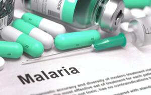 За даними ВООЗ, малярія поширена у 87 країнах світу