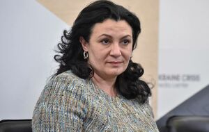 Климпуш-Цинцадзе вважає, що процеси навколо законопроєкту про олігархів потрібні владі для відволікання уваги від інших скандалів