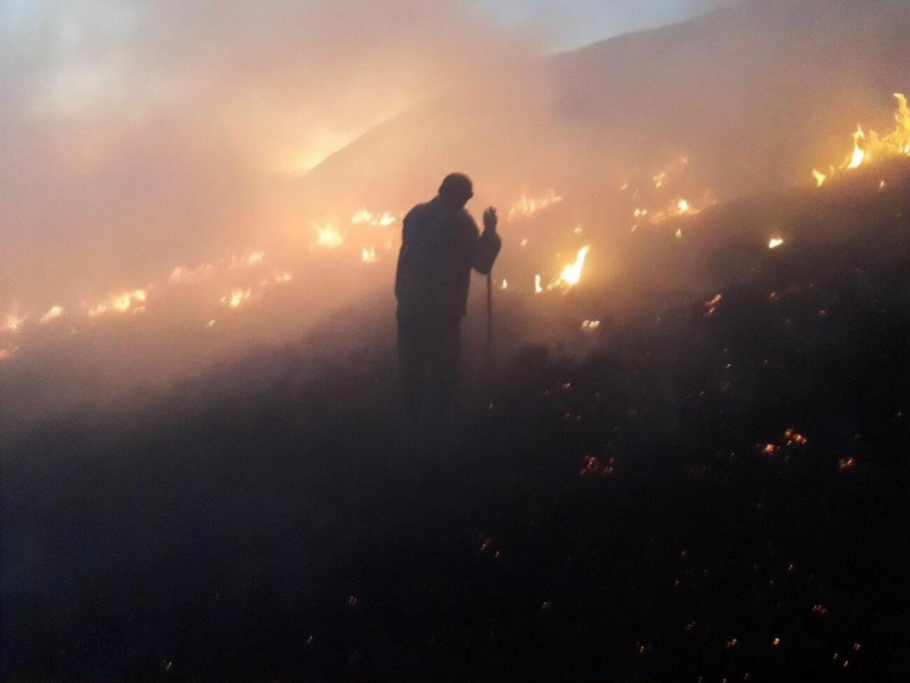 У Карпатах горів сухостій