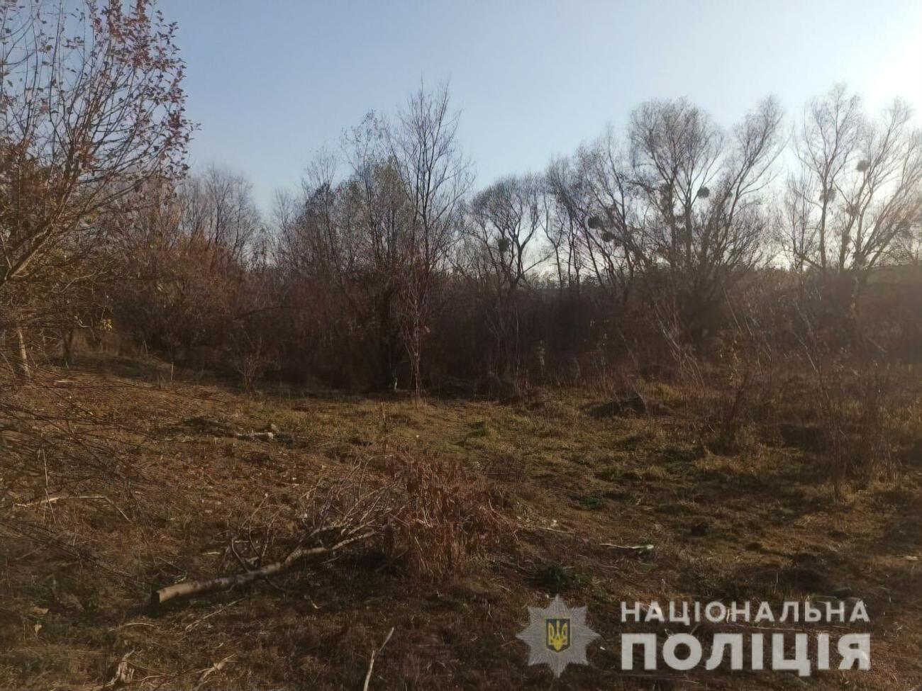 Підлітка поранено рикошетом заряду шроту з гладкоствольної рушниці