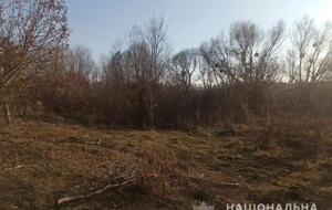 Підлітка поранено рикошетом заряду шроту з гладкоствольної рушниці
