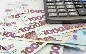 "Правительство уже активно пользуется деньгами местных властей. То есть своих денег в бюджете не хватает, несмотря на все победные заявления", – пишет "РБК-Украина"