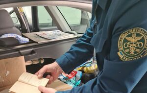 Реформа таможни важна Украине для получения транша МВФ