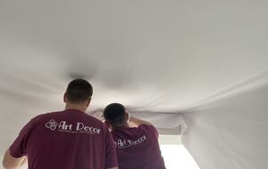 Головним чинником, який найбільше впливає на вартість, вважають саме площу