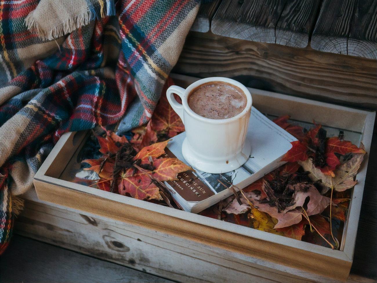 15 листопада у більшості областей України прогнозують похолодання